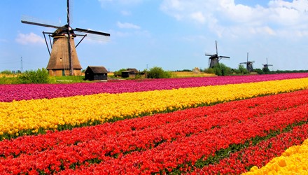 HOTELS MET LAADPALEN IN NOORD HOLLAND