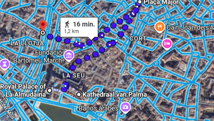 PALMA DE MALLORCA WANDELING