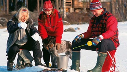 FINLAND WINTER RONDREIZEN