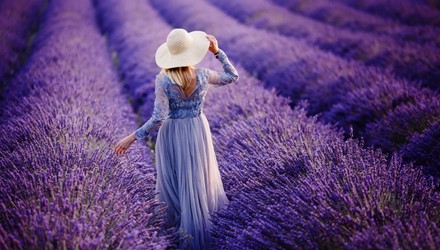 PROVENCE